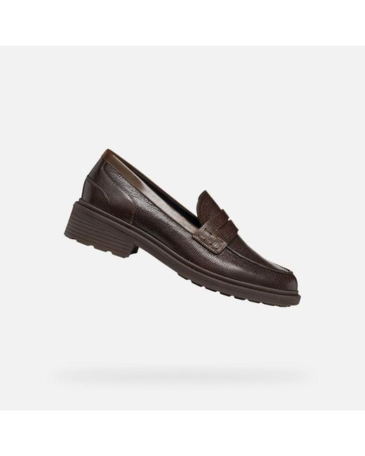 Geox Brown Walk Pleasure B