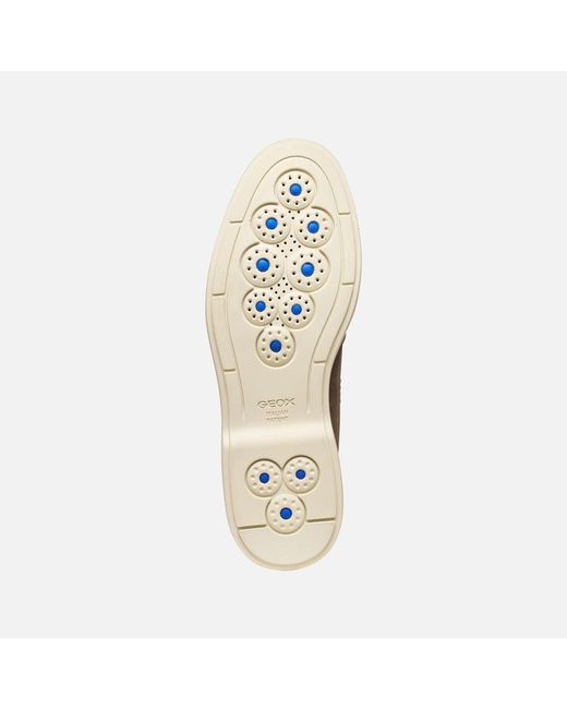 Geox Brown Spherica Ec17 for men