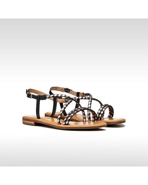 Geox Brown Sozy S
