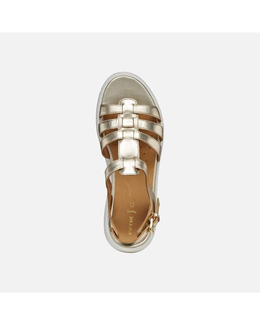 Geox Metallic Nebula 2.0 C S