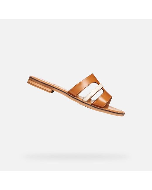 Geox Brown Maddalusia C Camel/Papyrus