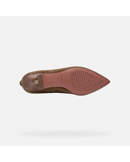 Geox Brown Kleopy Dame