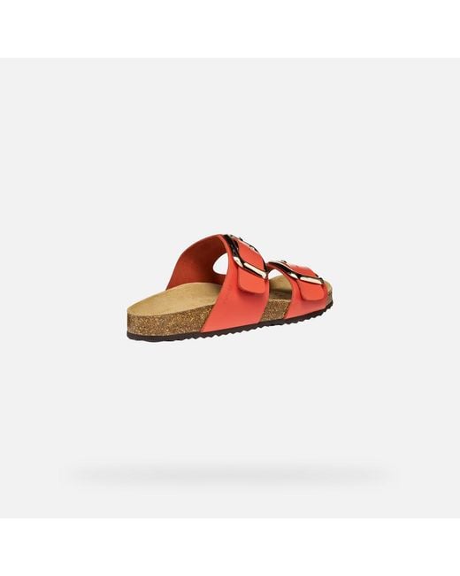 Geox Red Brionia R