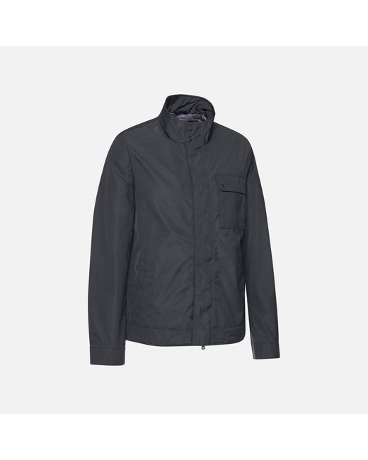 Geox Blue Renny for men