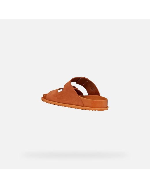 Geox Brown Sandybett