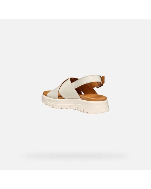 Geox Multicolor Xand 2.1S