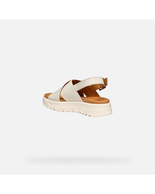 Geox Multicolor Xand 2.1S