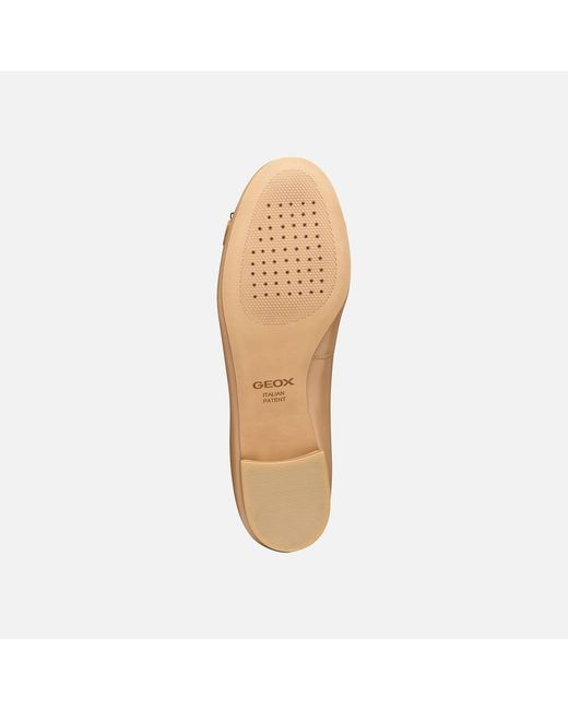 Geox Natural Virnilisa B