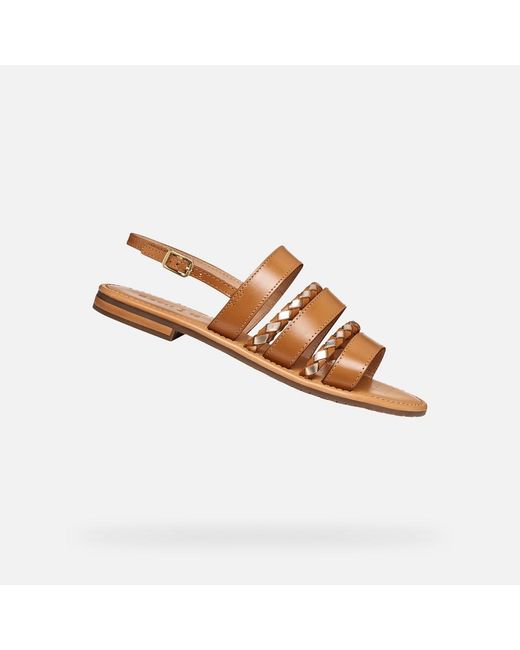 Geox Brown Sozy S
