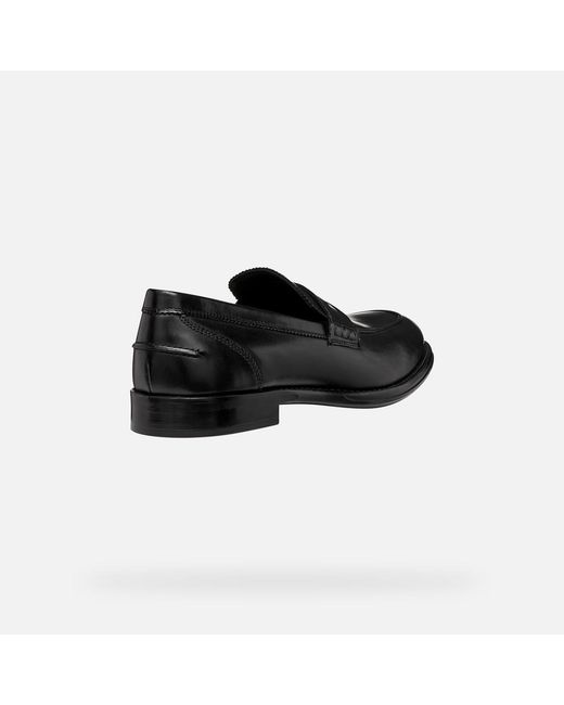 Geox Black Barberigo for men