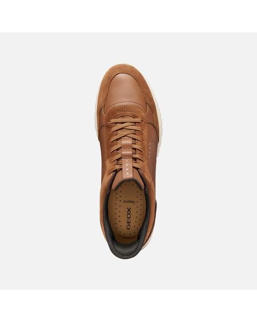 Geox Brown Flextridezero Plus for men