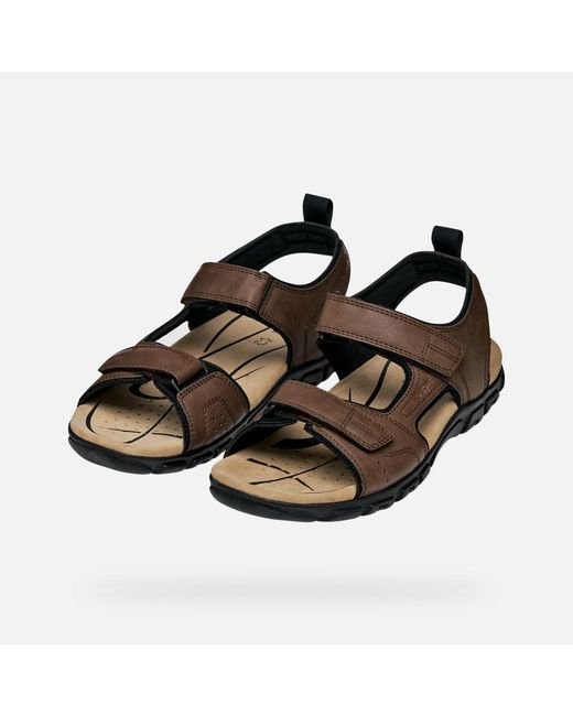Geox Brown Strada for men