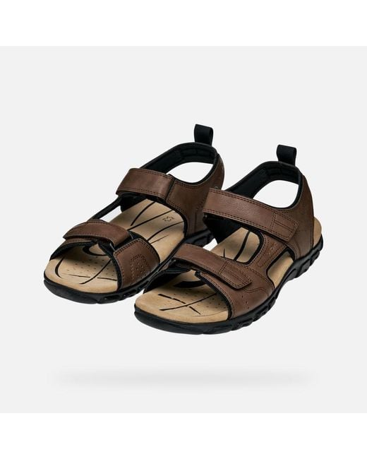 Geox Brown Strada for men