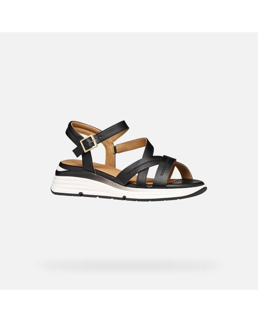 Geox Black Elowynne