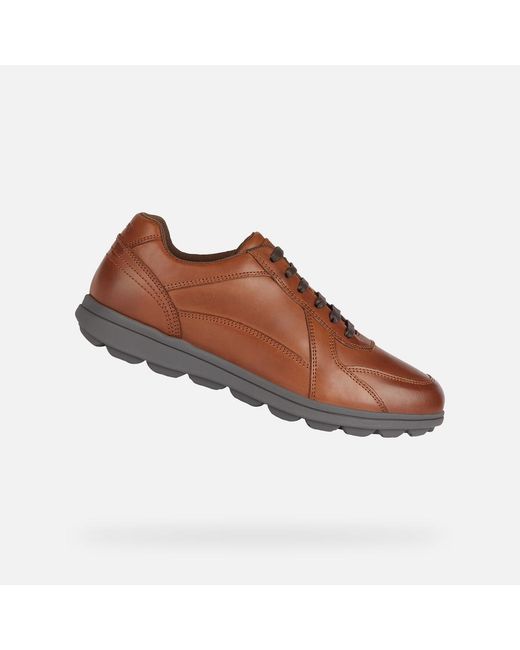 Geox Brown Spherica Ec12 for men