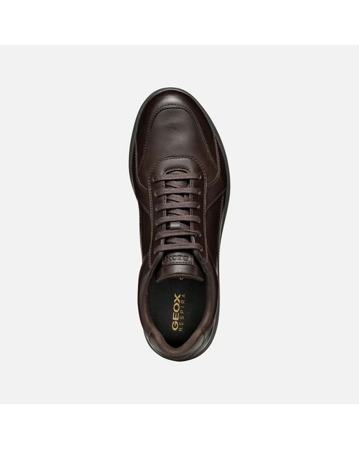 Geox Brown Spherica Ec12 for men