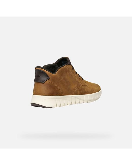 Geox Brown Flextride Plus for men