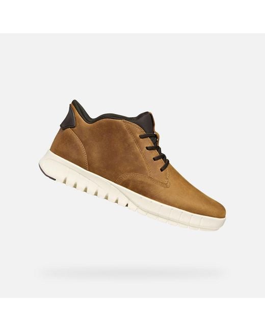 Flextride Plus Hombre Geox de hombre de color Brown