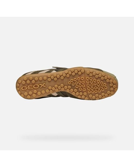 Geox Green Snake Sage/Military for men