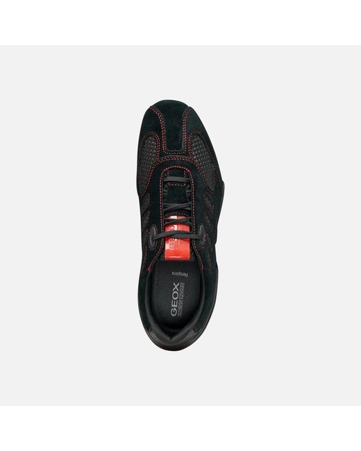 Geox Black Archive Snake
