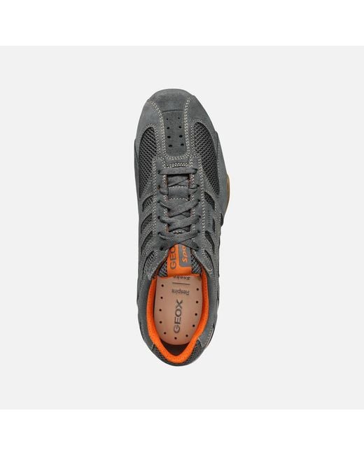 Geox Gray Snake Original for men