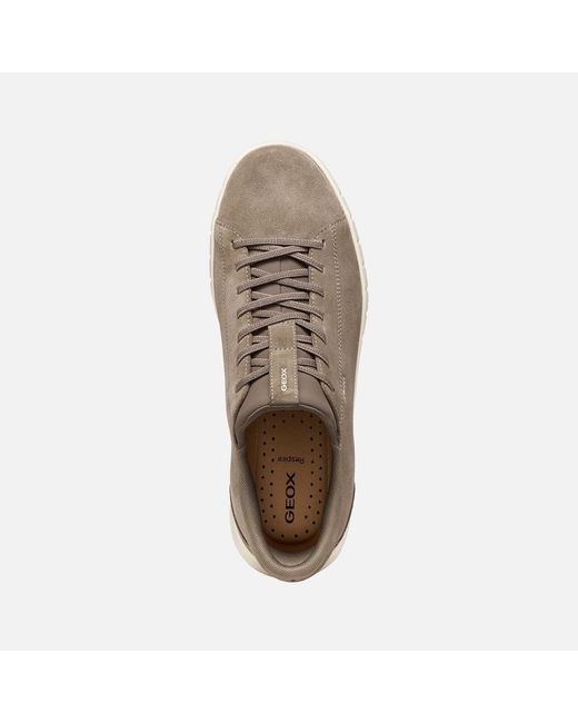 Geox Gray Flextride Plus for men