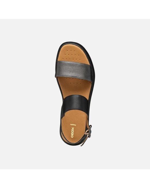 Geox Black Camalei