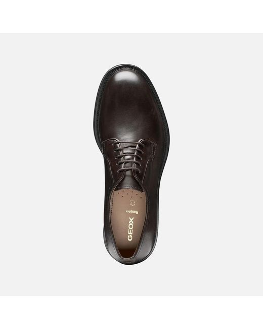 Geox Black Capitale for men