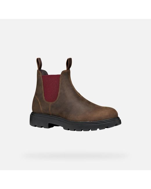 Geox Brown Spherica Ec7 B Coffee/Bordeaux for men