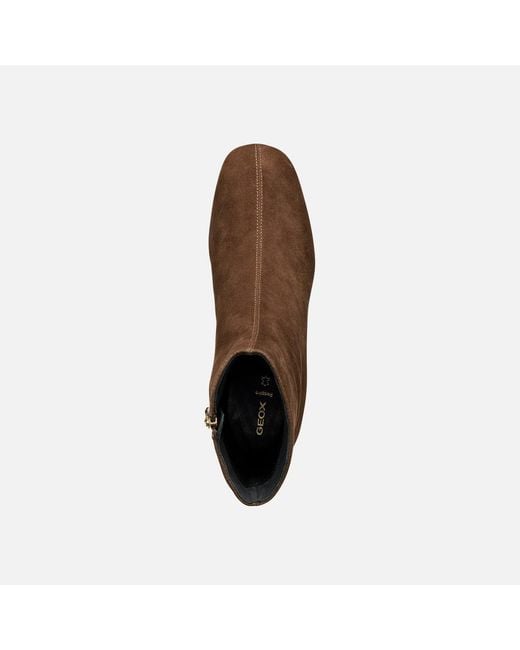 Geox Brown Kalidine