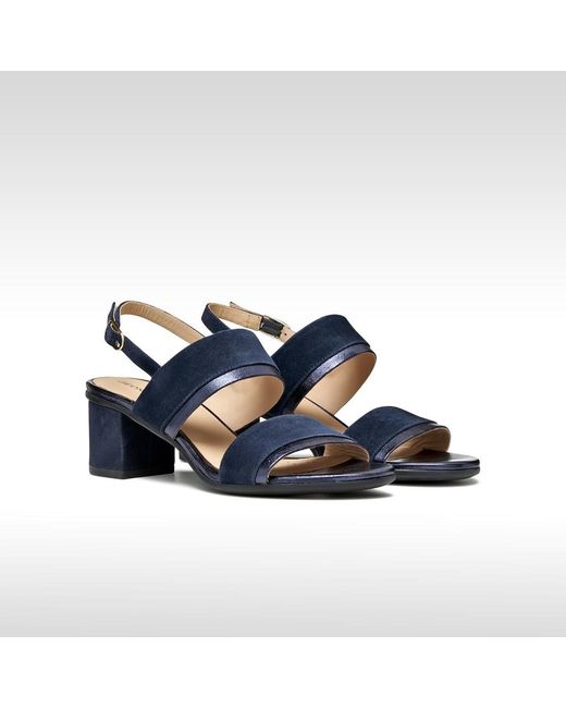Geox Blue Aurely 50