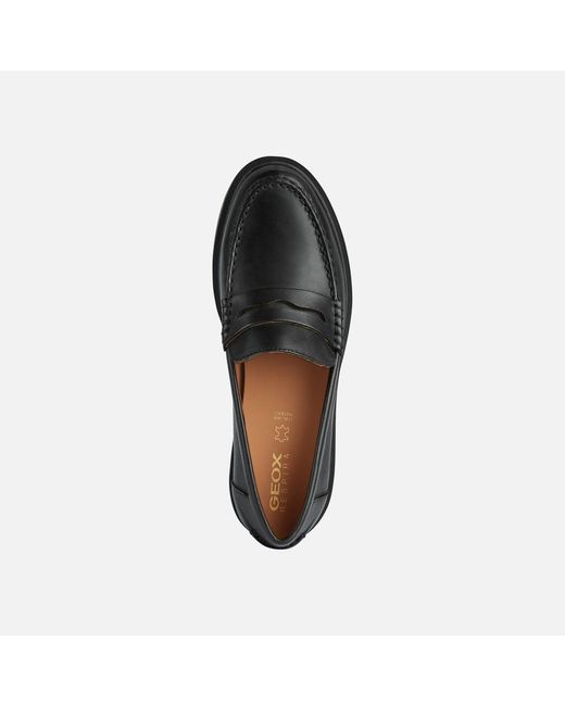 Geox Black Spherica Ec1