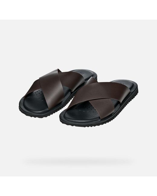 Geox Brown Erice for men