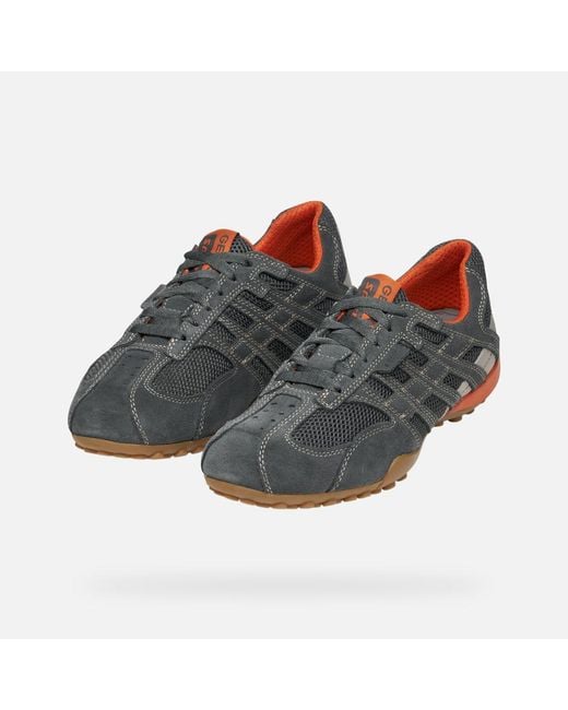 Geox Gray Snake Original for men