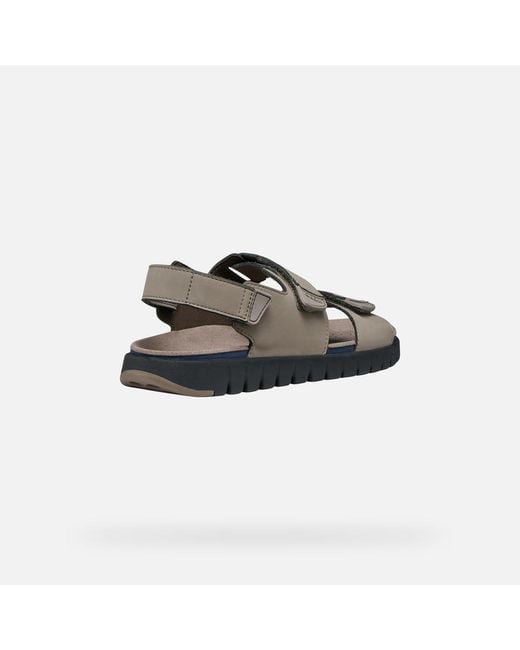 Geox Brown Flextride S for men