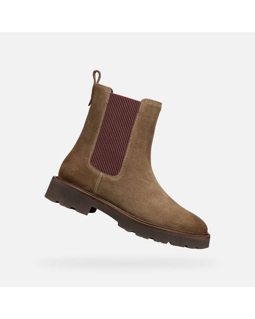 Geox Brown Norize Dame