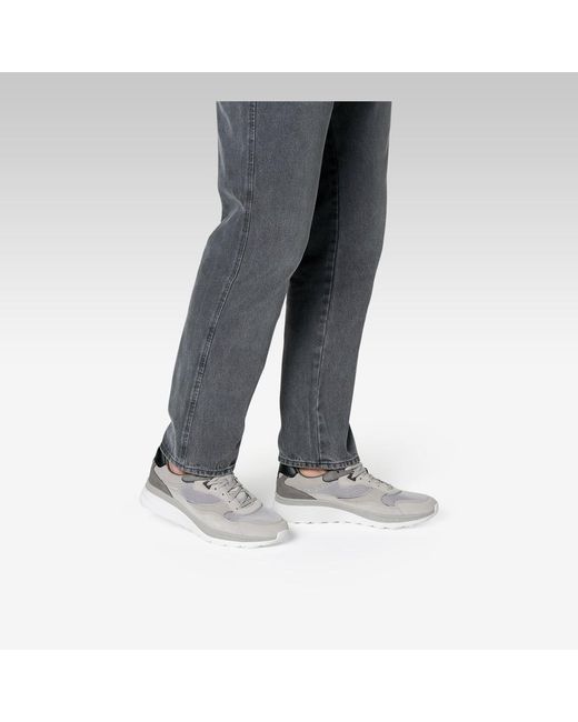 Geox Gray Spherica Actif X1 for men