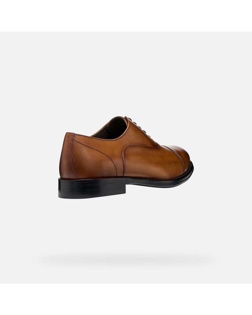 Geox Brown Barberigo for men
