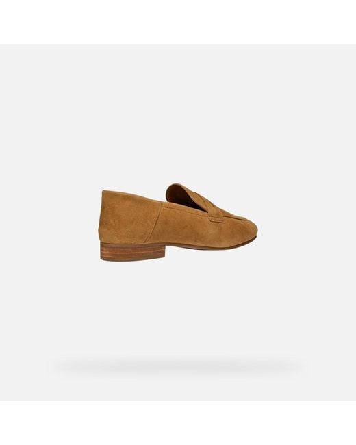 Geox Brown Mantinea