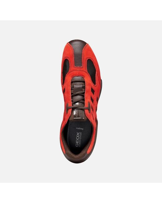 Geox Red Archive Snake for men