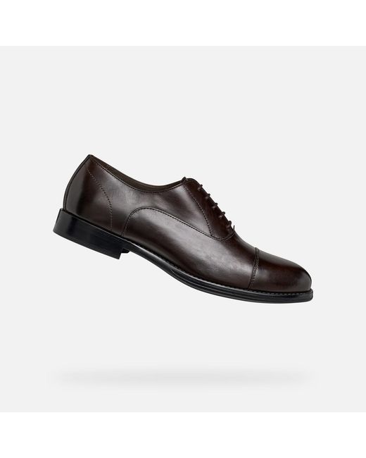 Geox Brown Barberigo for men