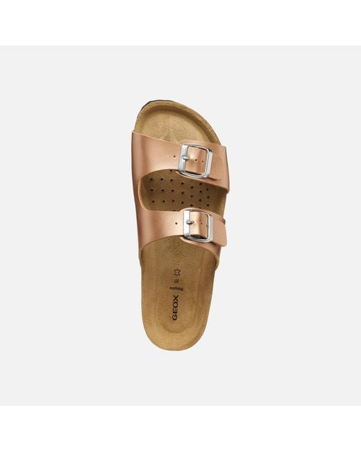 Geox Brown Brionia
