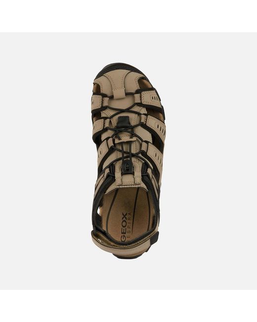 Geox Brown Strada for men