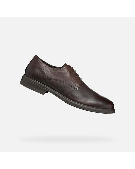 Geox Brown Terence for men