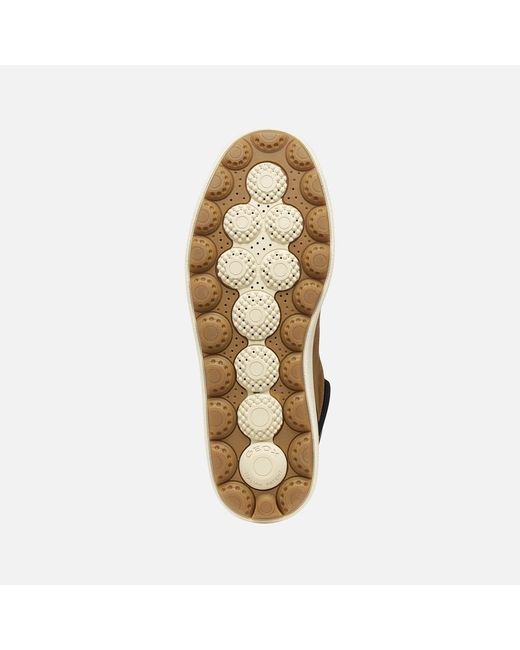 Geox Brown Spherica Ecub-1.1 Abx Nut for men