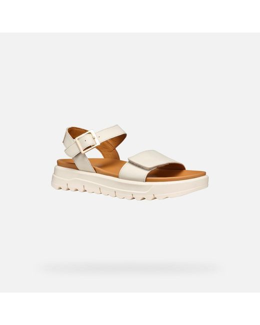 Geox Metallic Xand 2.1S