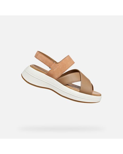 Geox Metallic Spherica Ecub-3 S
