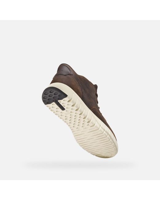 Geox Flextride Plus Herr in Brown für Herren
