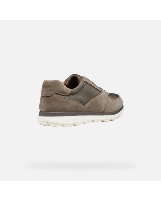 Geox Gray Spherica Ec12 for men