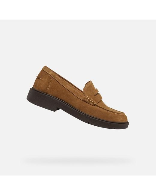 Geox Brown Spherica Ec1 B